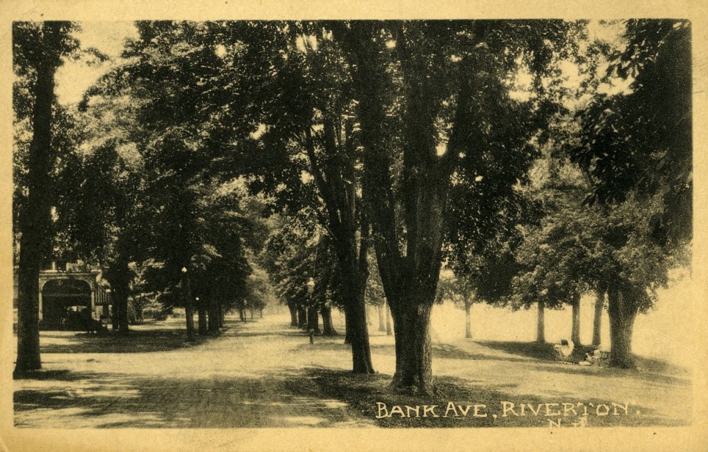 Auction Wins and Losses Historical Society of Riverton, NJ